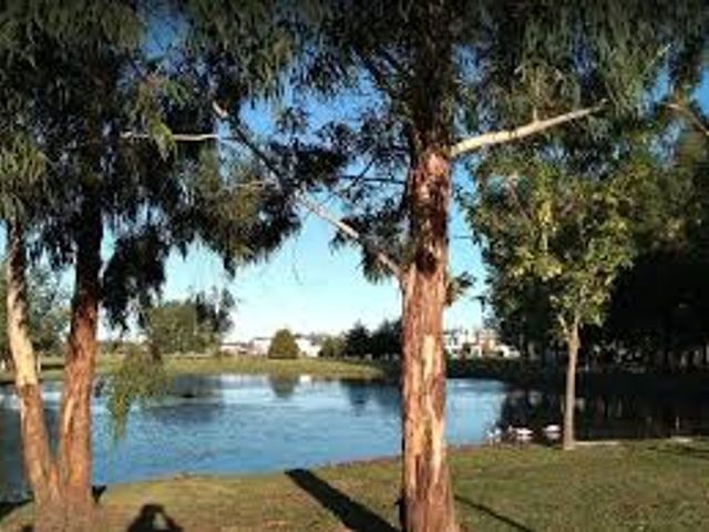 place photo 33