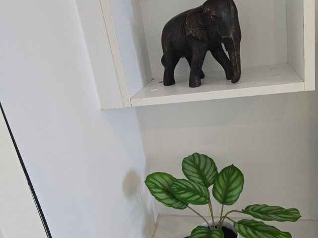 place photo 58