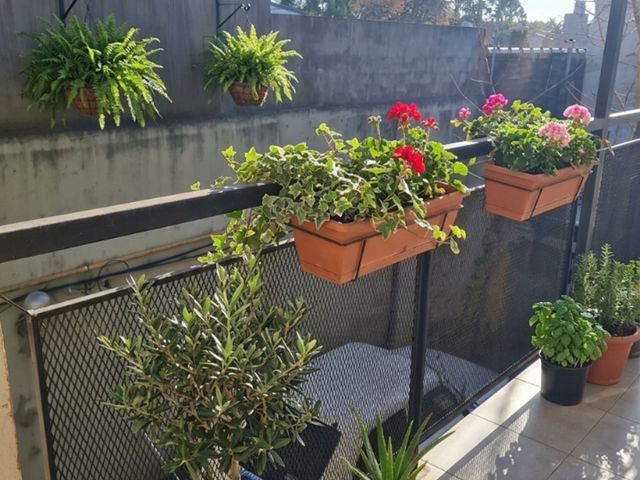 place photo 17