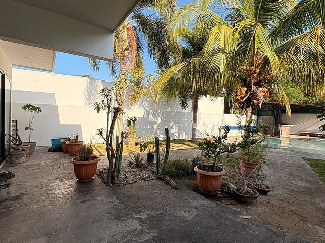 place photo 25