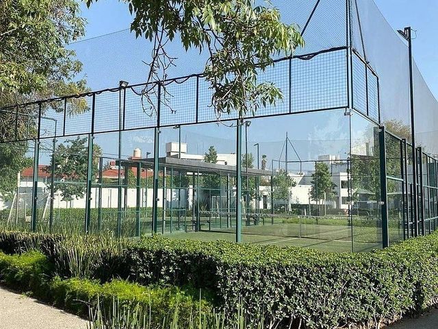 place photo 36