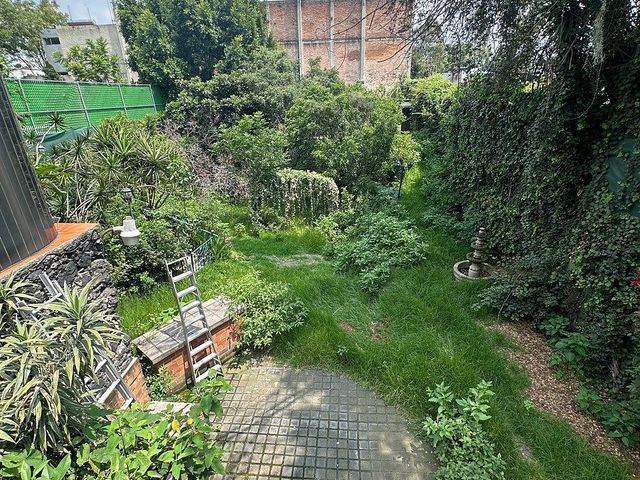place photo 23