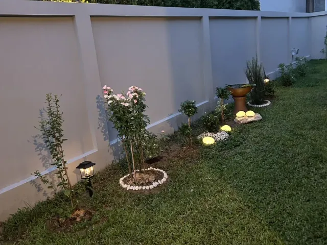 place photo 13