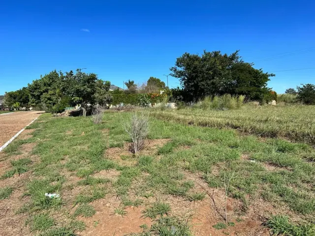 place photo 6