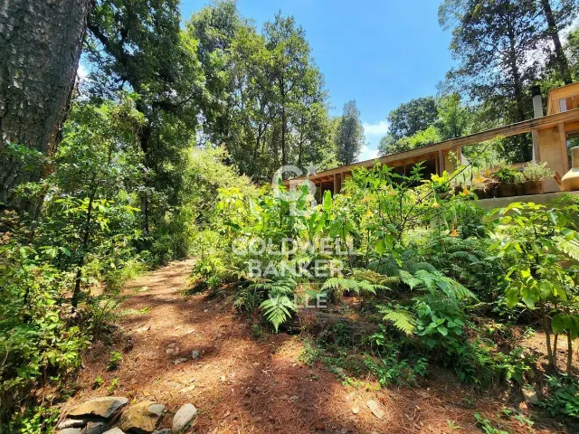 place photo 38