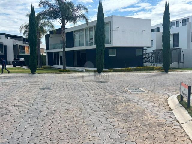 place photo 46
