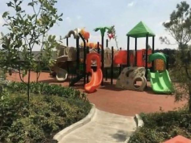 place photo 46