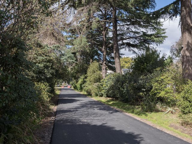 place photo 57