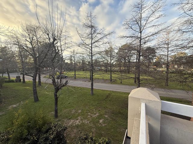 place photo 38