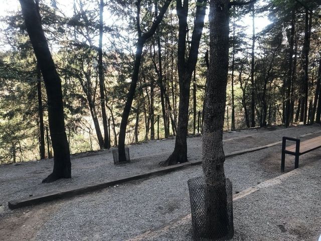place photo 34
