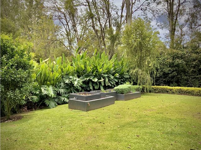 place photo 74