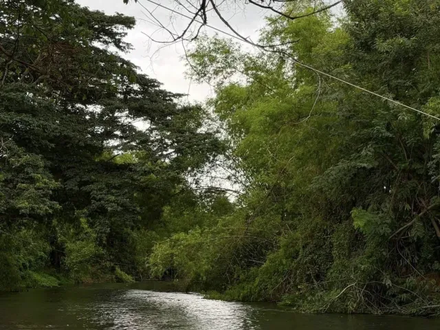 place photo 51