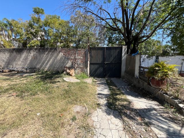 place photo 15