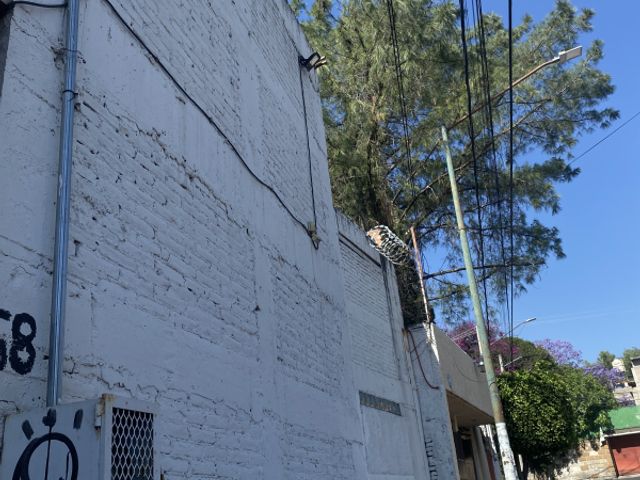 place photo 21