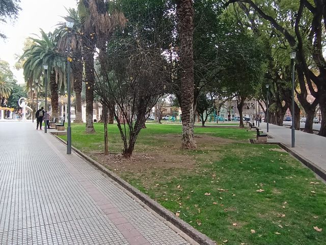 place photo 28