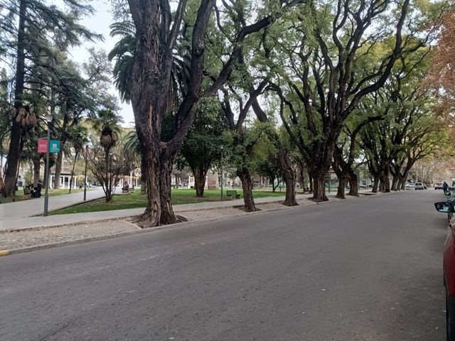 place photo 30