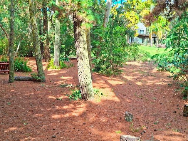 place photo 43