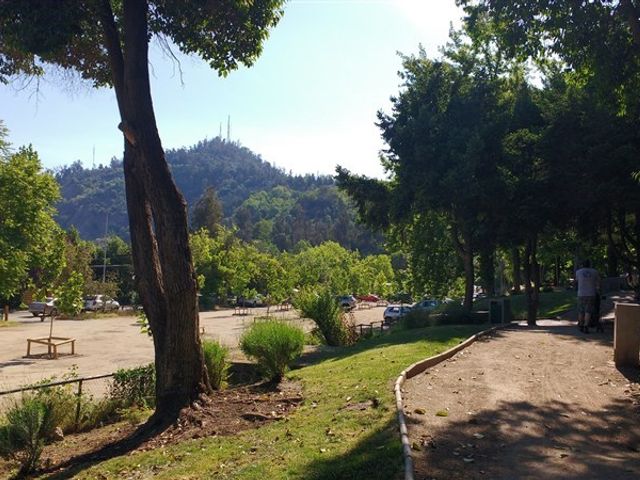 place photo 29