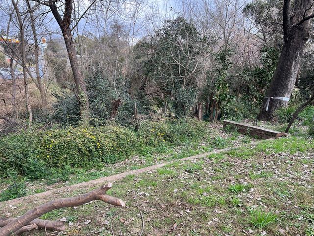 place photo 40