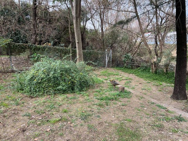 place photo 44