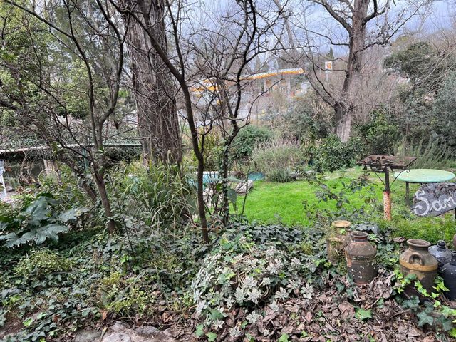 place photo 48