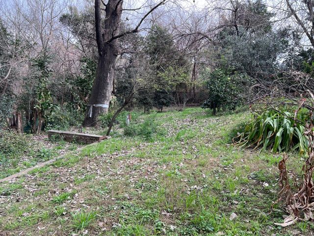 place photo 35