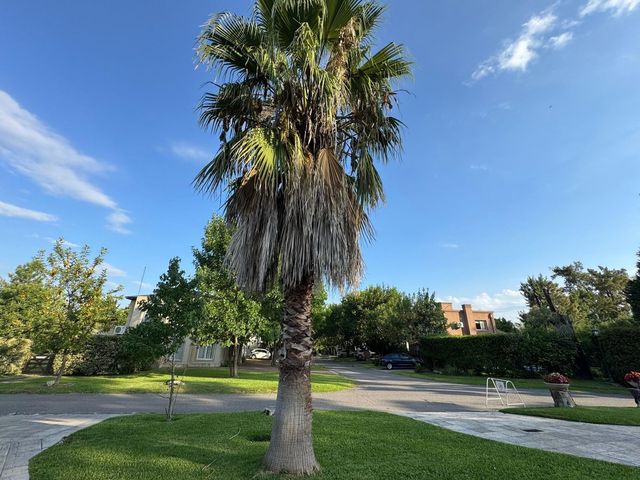 place photo 33