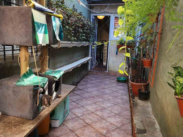 place photo 41
