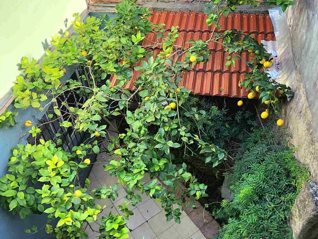 place photo 29