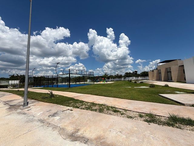 place photo 28