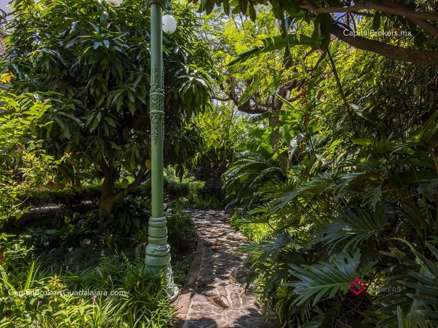 place photo 37