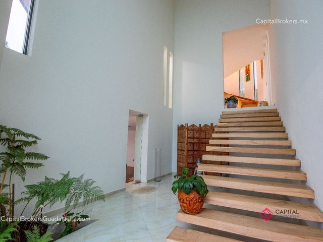 place photo 50