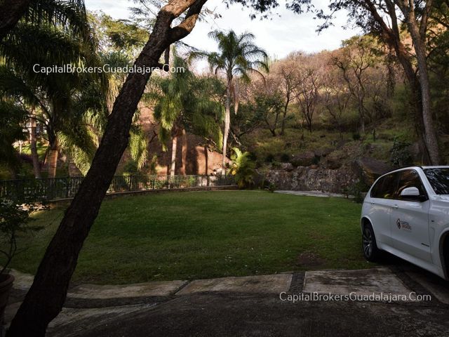 place photo 36