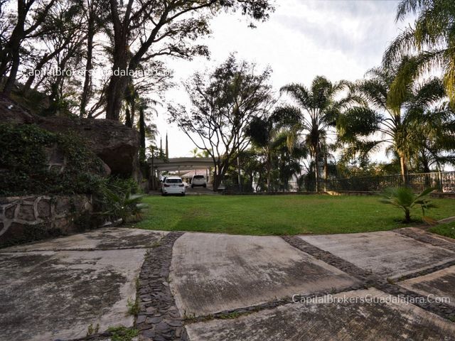 place photo 37