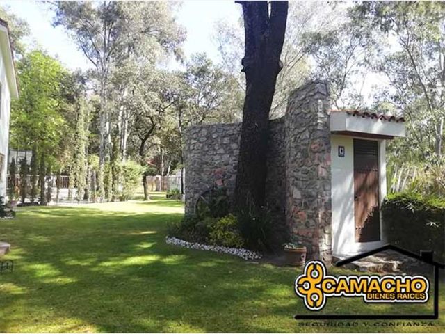 place photo 25