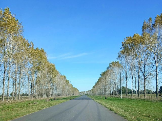 place photo 18