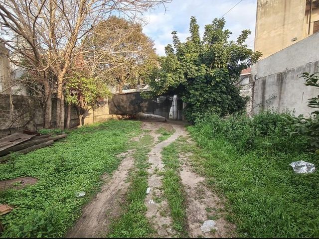 place photo 29