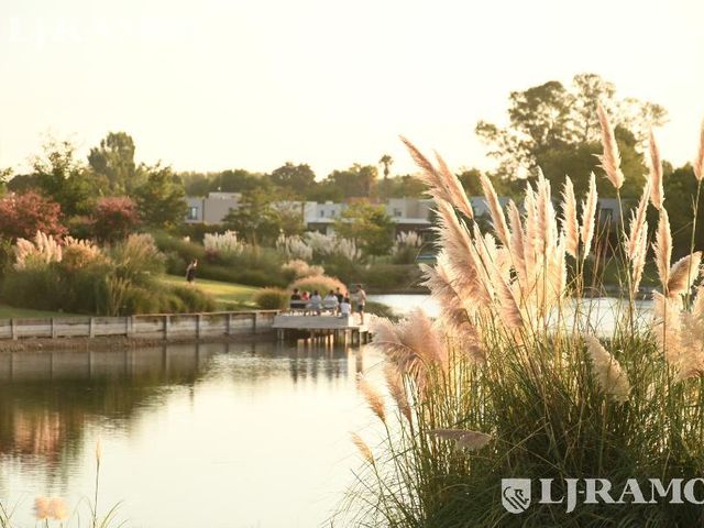 place photo 47