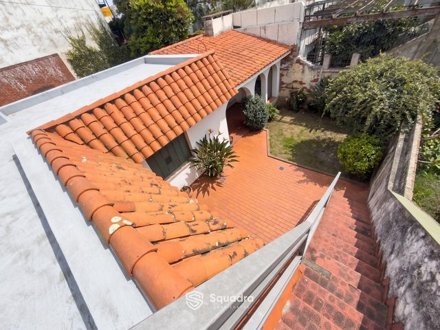 place photo 48