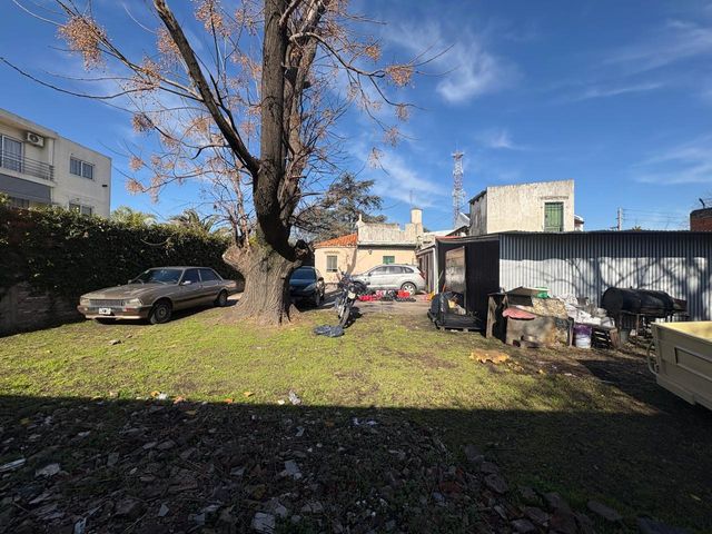 place photo 35