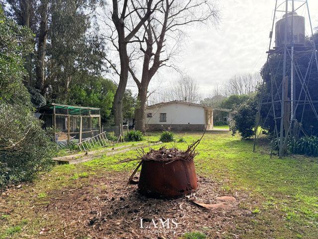place photo 43