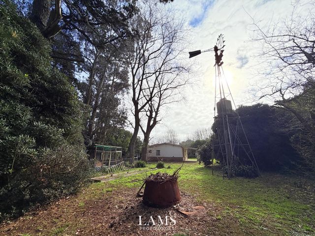 place photo 46