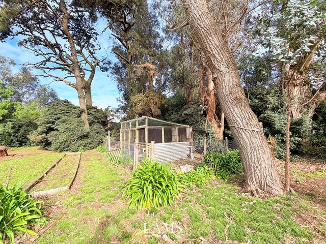 place photo 45