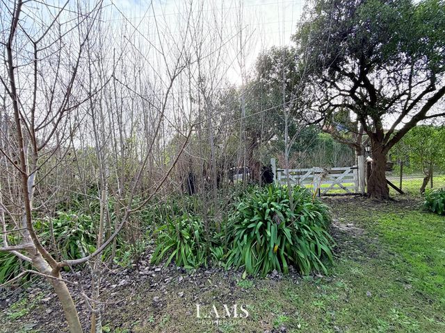 place photo 42