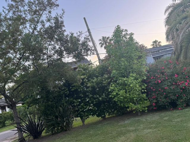 place photo 33