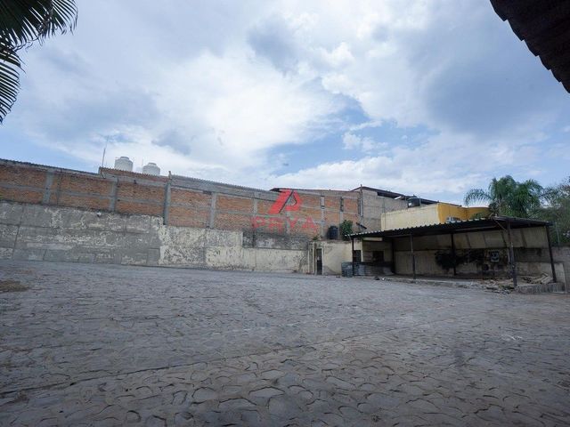place photo 12