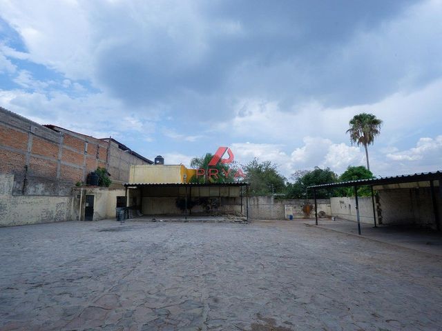 place photo 11