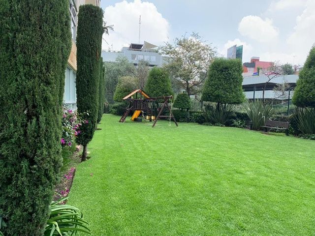 place photo 37