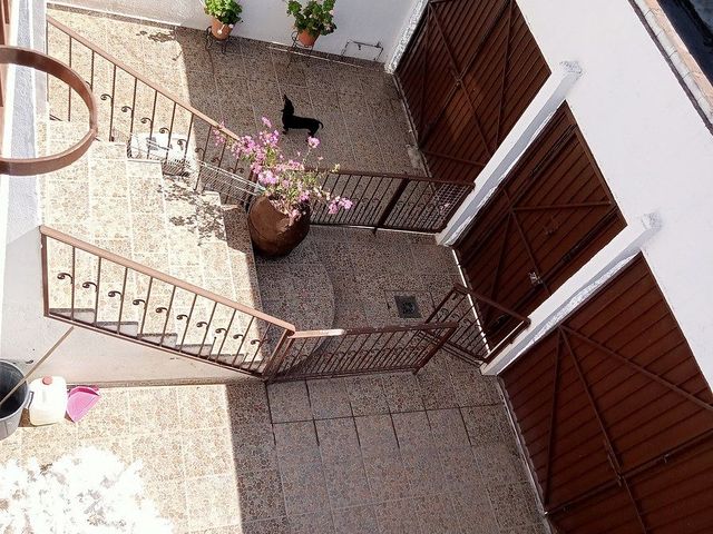 place photo 23