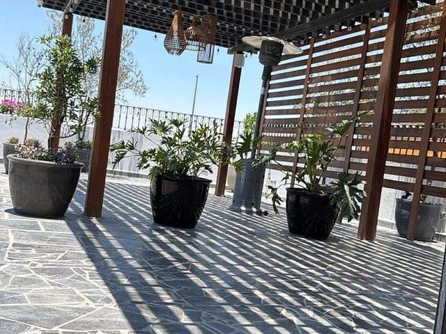 place photo 16